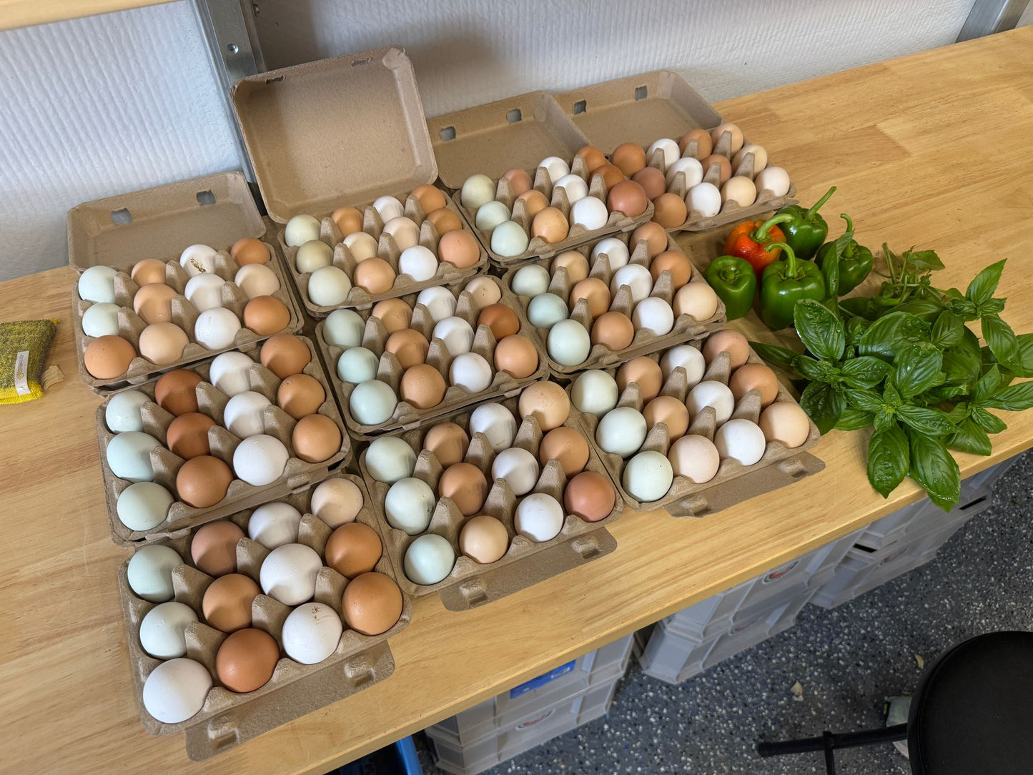 Organic Free-Range Eggs - 1 Dozen from Family Farm